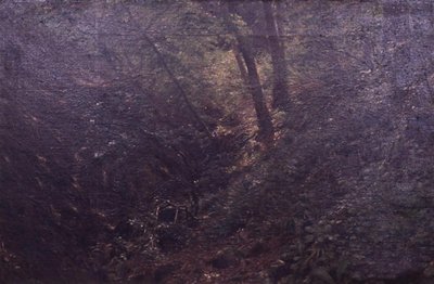 Spring in a Gorge by C.A. Kølle