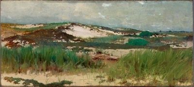 Nantucket Sand Dune by C. Morgan McIlhenney