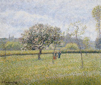 Apple Tree in Flower at Eragny by Camille Jacob Pissarro