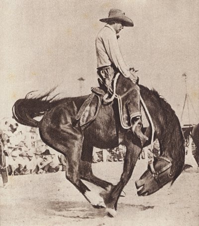 Cowboy riding a bucking bronco by Canadian Photographer