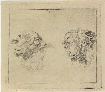 Head of a Ram and Head of a Sheep by Carel Webbers