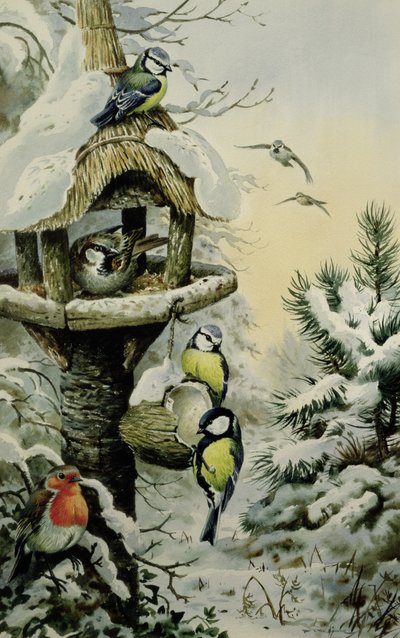 Winter Bird Table with Blue Tits, Great Tits, House Sparrows and a Robin by Carl Donner