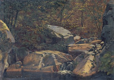 Forest Stream (Waterfall between Rock Blocks) by Carl Morgenstern