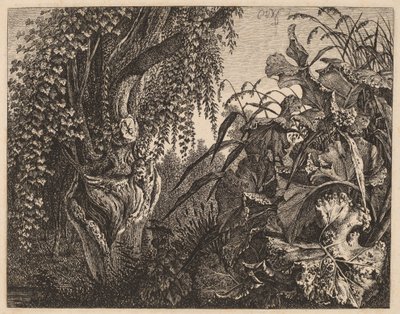 A Thicket; a Gnarled Willow Tree at Left, a Thicket of Vegetation at Right by Carl Wilhelm Kolbe