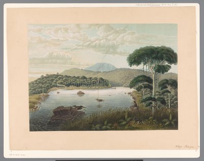 View of Lake Patenggang in Java by Carl Wilhelm Mieling (possibly)