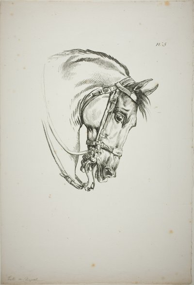 Detail of Horse