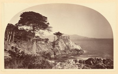 Cypress Point from Cypress Drive, Monterey California by Carleton Watkins