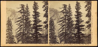 Half Dome and Vernal Fall, from South Fork by Carleton Watkins