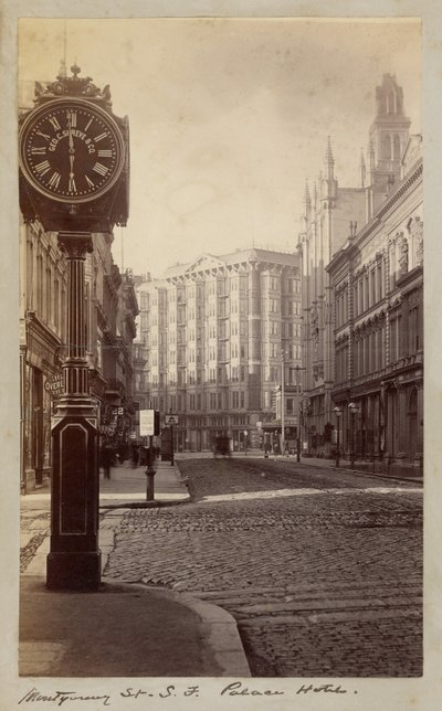 Palace Hotel, Montgomery Street, San Francisco by Carleton Watkins