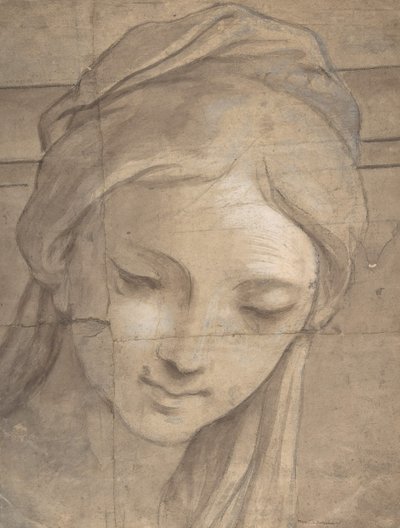 Head of a Young Woman in Three-Quarter View Facing Left by Carlo Cignani