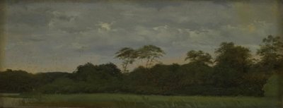 A Meadow by a Forest Lake by Carlo Dalgas