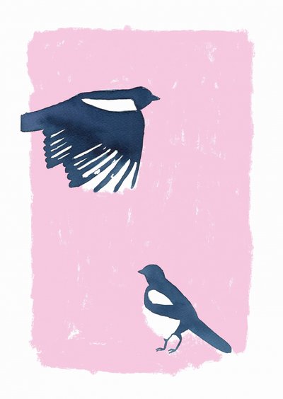 Pink Sky Magpies by Carola Cedell