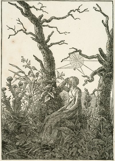 Woman with Spider