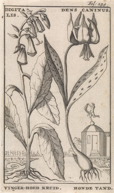 Title Page and Eight Prints with Flowers by Caspar Luyken