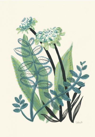 Lush Green Botanicals by Catalina Somolinos