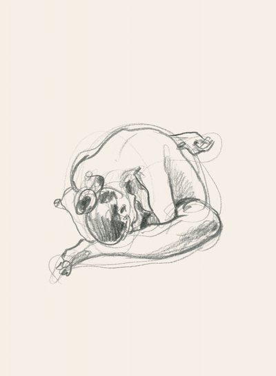 Quiet Curled Figure by Catalina Somolinos