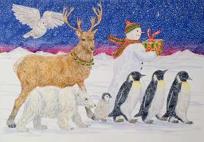 A Present for Santa by Catherine Bradbury