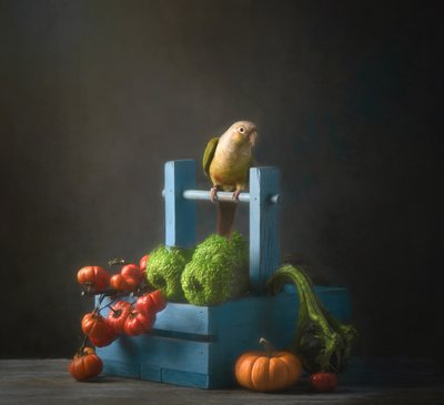 Autumn Parrot Still Life by Catherine Wang