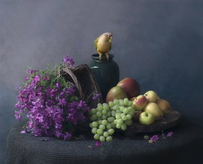 Still Life with Parrot by Catherine Wang