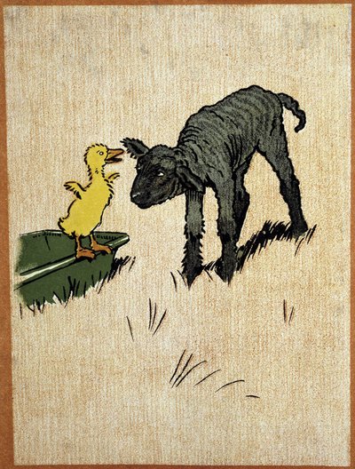 Black Lamb and Duckling - Drawing by Aldin by Cecil Charles Windsor Aldin