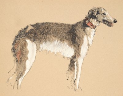 Borzoi, 1930, Illustrations from His Sketch Book Used for Just Among Friends, Later Published by Eyre and Spottiswoode Limited, 1934 by Cecil Charles Windsor Aldin