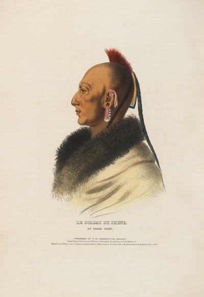 The Soldier of the Oak - An Osage Chief by Charles Balthazar Julien Févret de Saint-Mémin