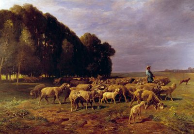 Herd of sheep in a landscape or Shepherd driving a herd of sheep in the plain by Charles Emile Jacque