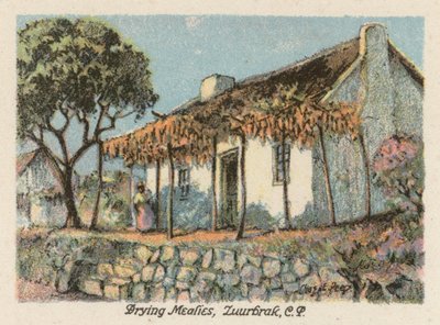 South Africa: Drying Mealies, Zuurbrak, CP by Charles Ernest Peers