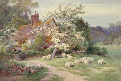 Sheep outside a Cottage in Springtime by Charles James Adams