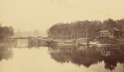 Bois de Boulogne, Paris by Charles Marville