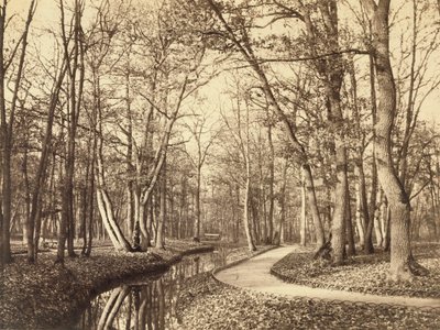 Bois de Boulogne, Paris by Charles Marville