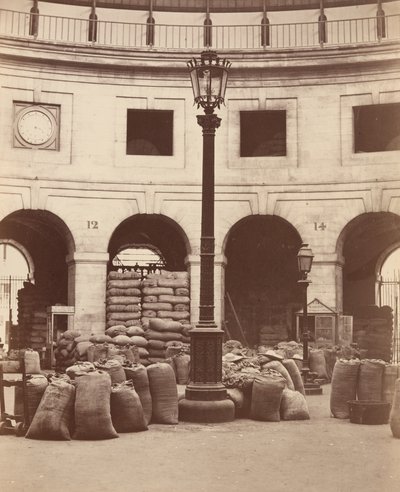 Halle aux Blés (Interior) by Charles Marville