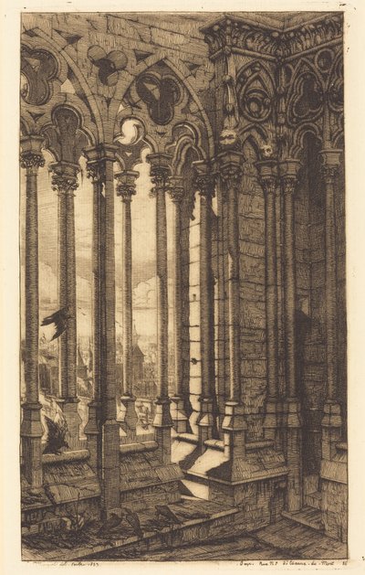 The Gallery of Notre Dame, Paris by Charles Meryon