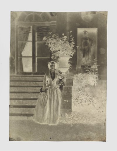 Portrait of a Woman, Possibly Mme Ernest Feydeau by Charles Nègre