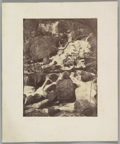 Trees and Waterfalls by Charles Nègre