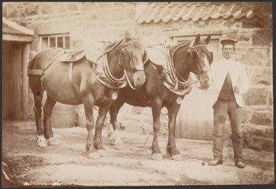 Man with Two Horses by Charles Reid
