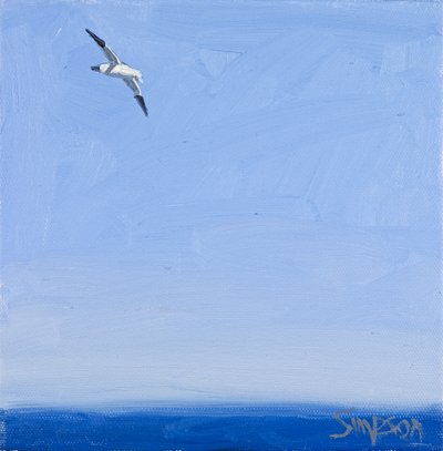 Gannet, 2010 by Charles Simpson