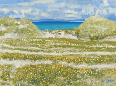 Glimpse of Harris, 2014 by Charles Simpson
