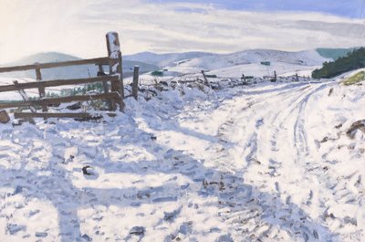 January Track, 2017 by Charles Simpson