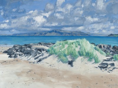 Rocks & Grasses, Iona, 2013 by Charles Simpson
