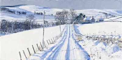 Snow, Newhall, 2010 by Charles Simpson