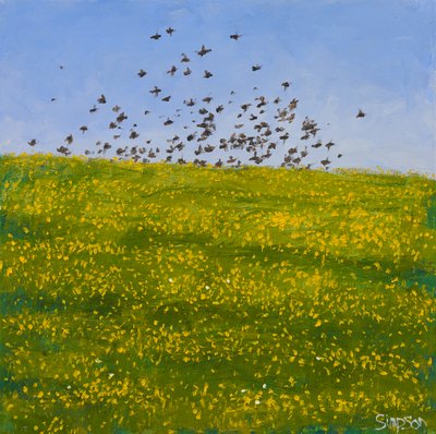 Starlings & Buttercups, Iona, 2015 by Charles Simpson