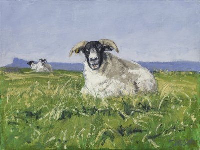 West Coast Sheep, 2017 by Charles Simpson