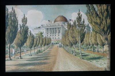 View of the Capitol by Charles W. Burton