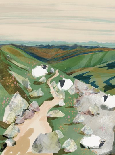Peaceful Hillside Sheep by Charlotte Trudgett