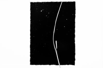 Graceful Curve in Dark by Chen Hongzhou