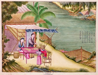 Sorting the Cocoons, from a Book on the Silk Industry by Chinese School