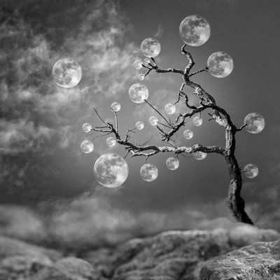 Fantasy Moon Tree by Christian MARCEL