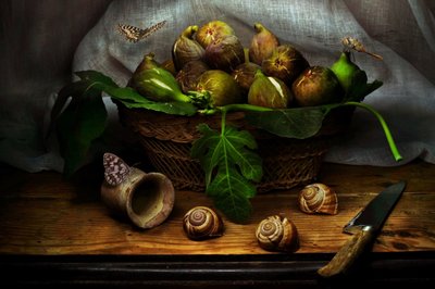 Rustic Fig Still Life by Christian MARCEL