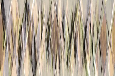 Abstract Earthy Lines by Christina Sillen